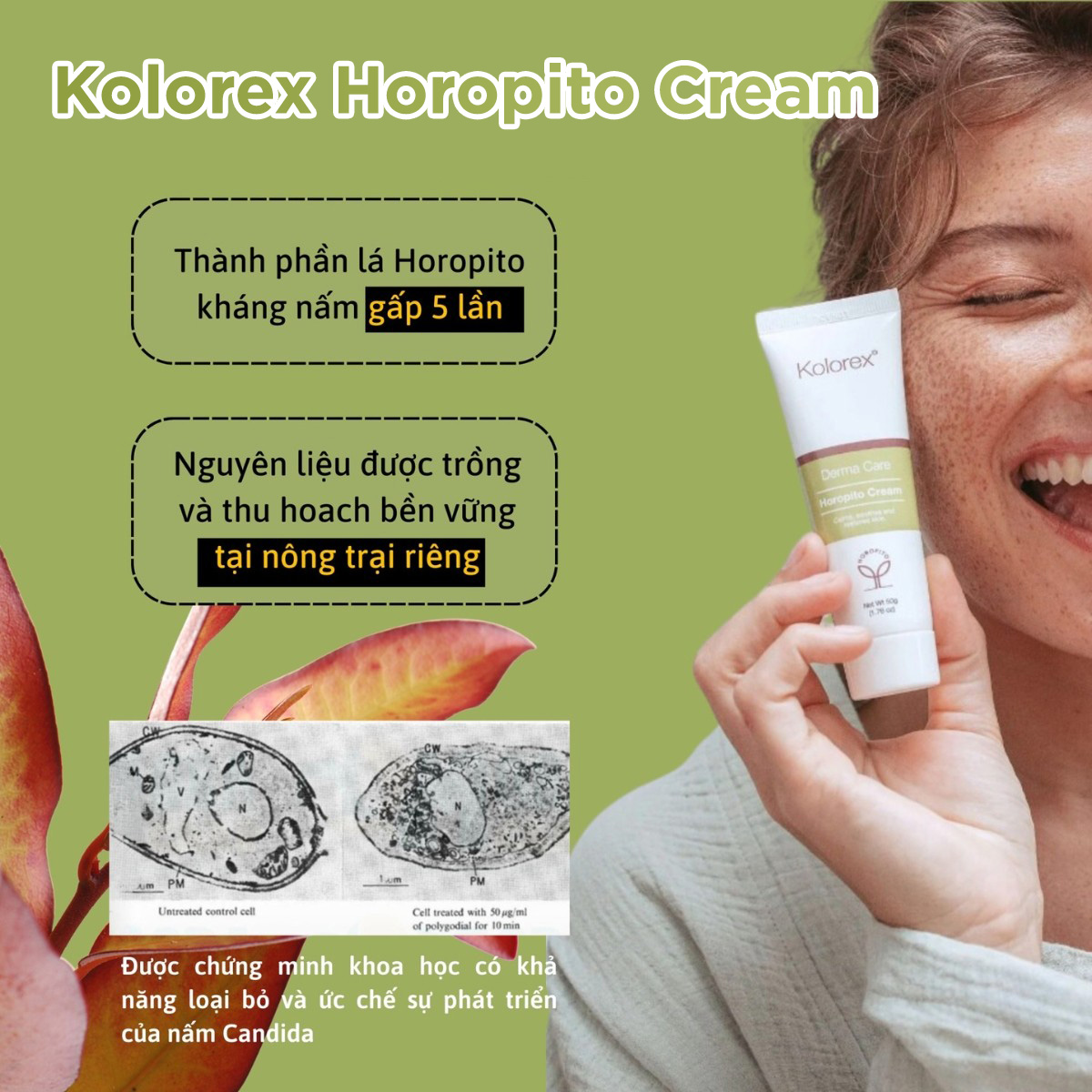 Kolorex Derma Care Horopito Cream 50g (1.76oz) - Ảnh 3