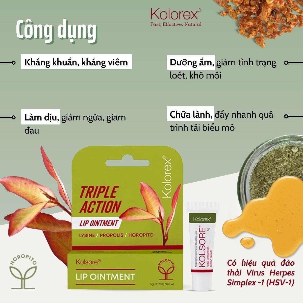 Kolorex Kolsore Lip Ointment 5g - Ảnh 4